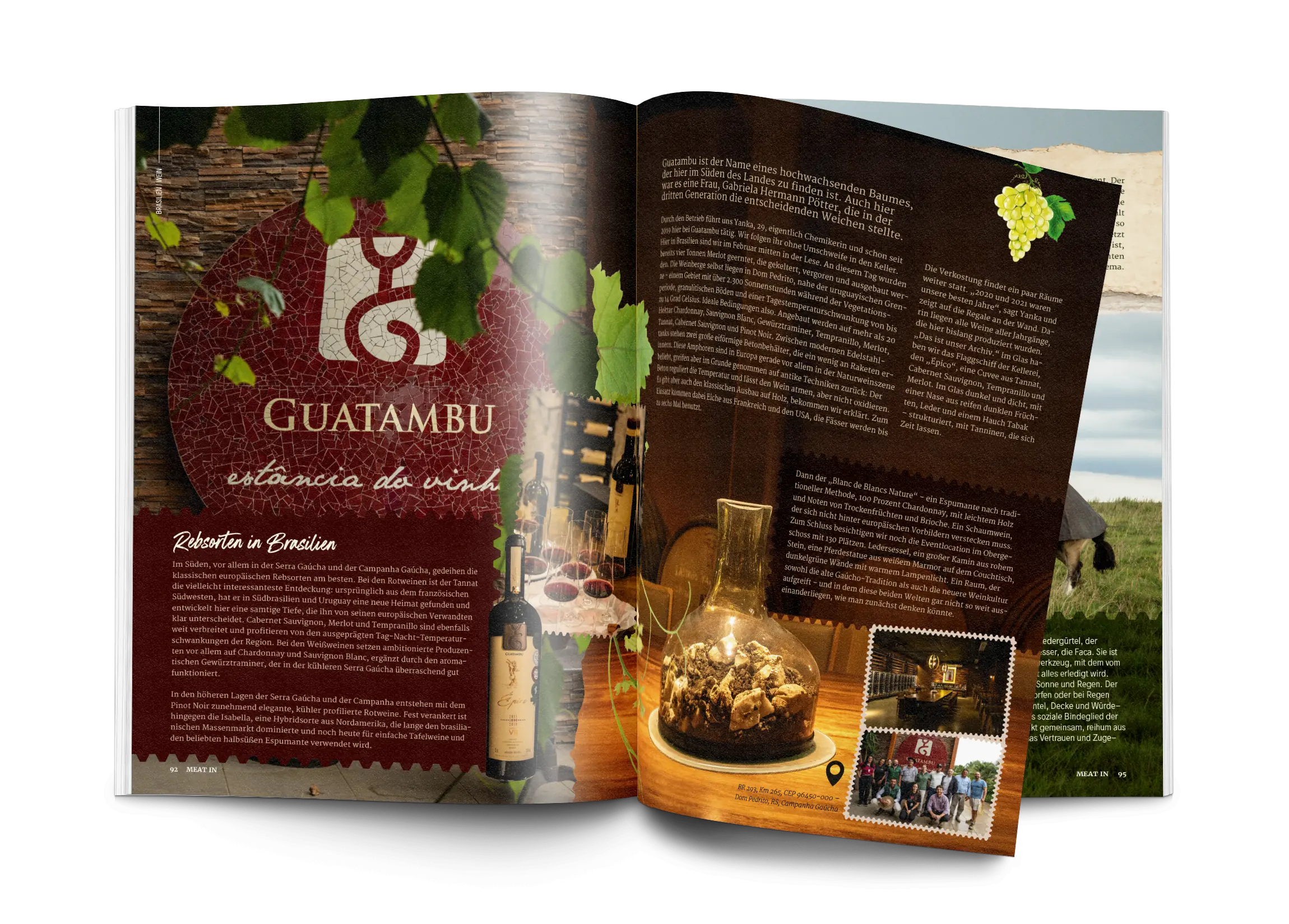 MEAT IN #10 BRASILIEN (Digitale Ausgabe) – Bild 4